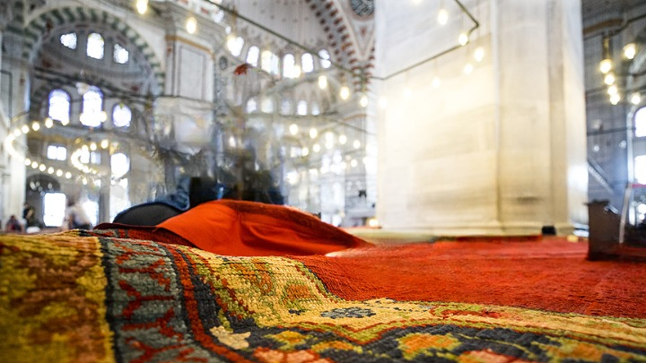 Doğal Kök Boya